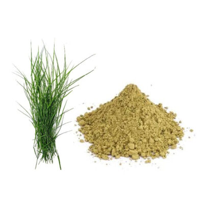 Bermuda Grass / Arugampul / Dhoob Powder