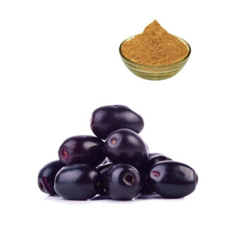 Jamun Fruit Powder ( Spray Dried )  - 100 grams