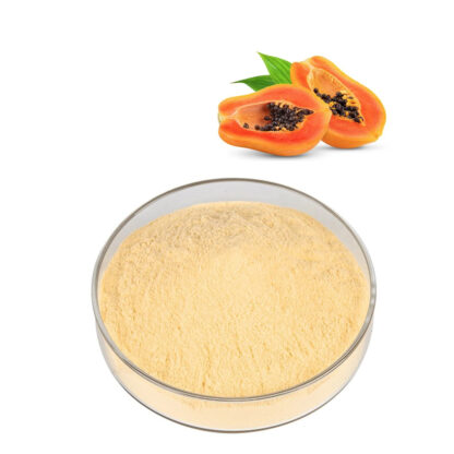 Papaya Fruit Powder ( Spray Dried ) - 100 grams