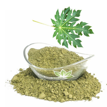 Papaya Leaves Powder - 250 grams