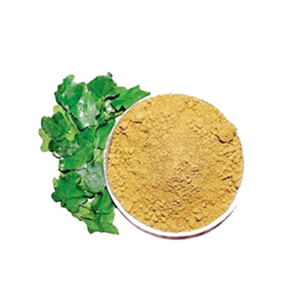 Thoothuvalai / Solanum Trilobatum Powder - 250 grams