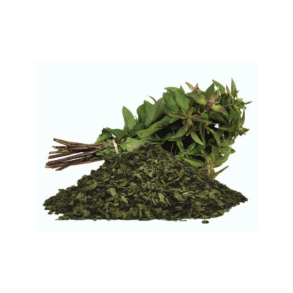 Tulsi / Holy Basil Leaves ( Dried )